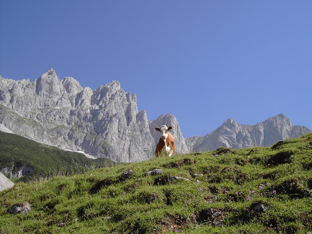 Gaestehaus-Pension Bendler Kirchdorf in Tirol Εξωτερικό φωτογραφία